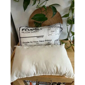 (2) Throw Pillow inserts